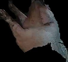 Crop