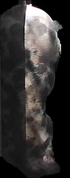 Crop