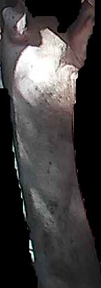 Crop