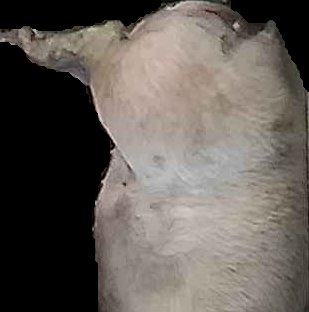 Crop