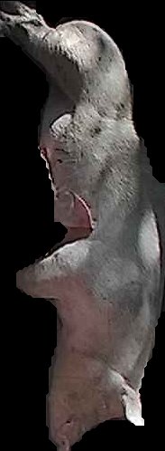 Crop