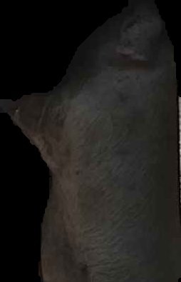 Crop