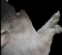 Crop