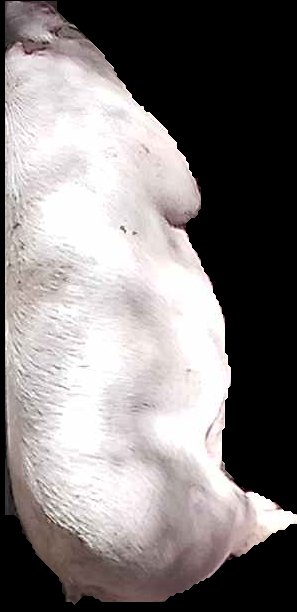 Crop