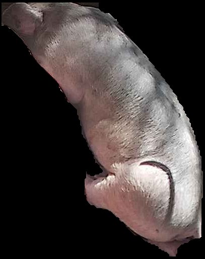 Crop