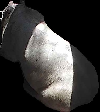Crop