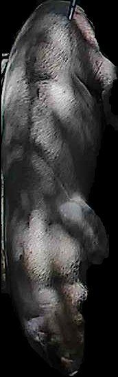 Crop