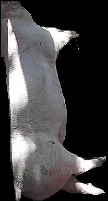 Crop