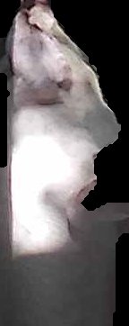 Crop