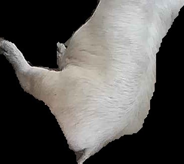 Crop
