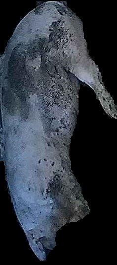 Crop
