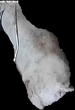 Crop