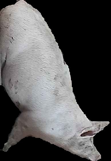 Crop