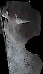 Crop