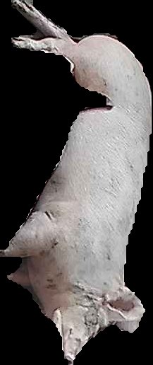 Crop