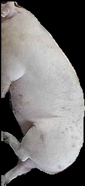 Crop