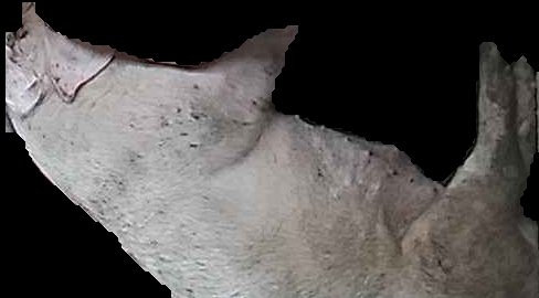 Crop