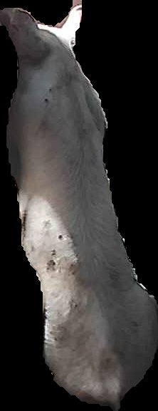Crop