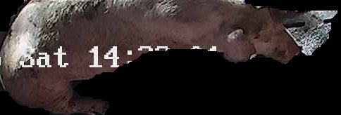 Crop