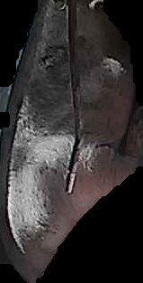 Crop