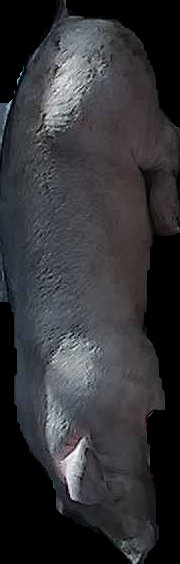 Crop