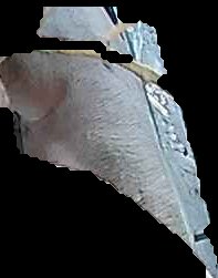Crop