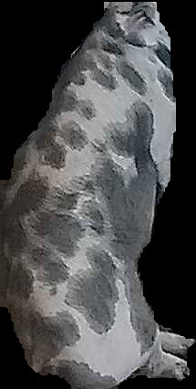Crop