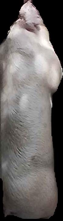 Crop