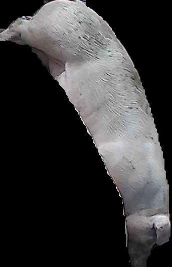 Crop