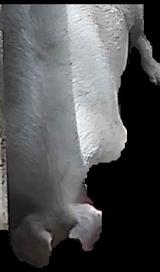 Crop