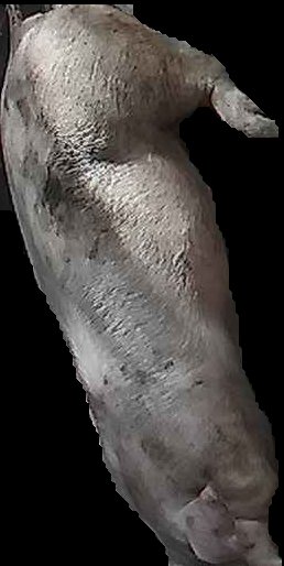 Crop