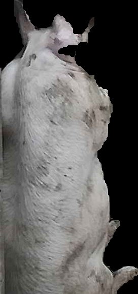 Crop