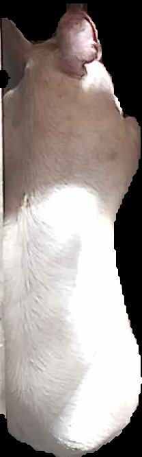 Crop