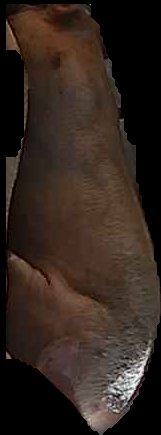 Crop