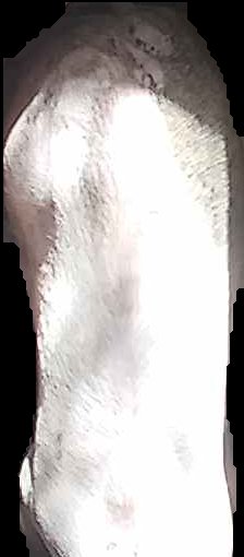 Crop