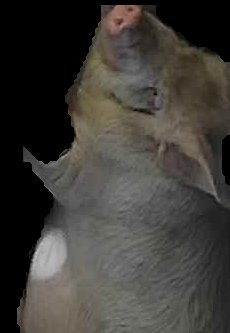 Crop