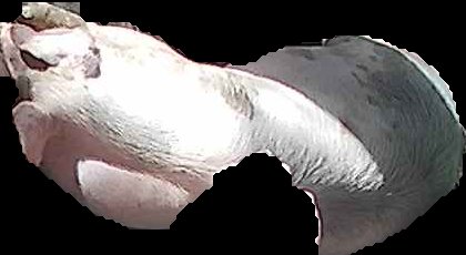 Crop