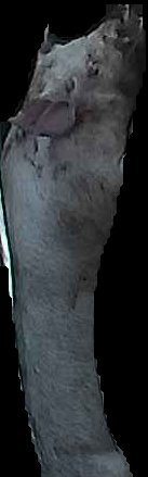 Crop