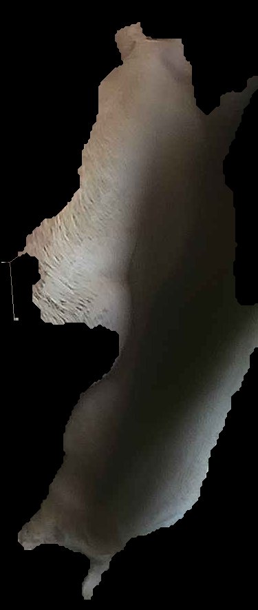 Crop