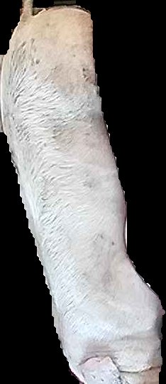 Crop