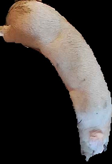 Crop