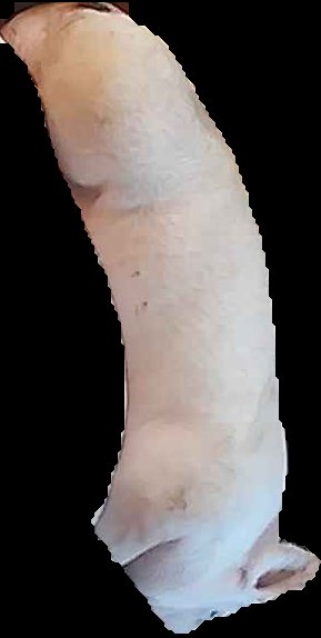 Crop