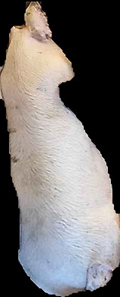 Crop