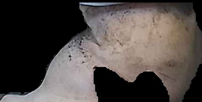 Crop