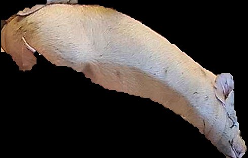 Crop