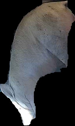 Crop