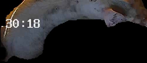 Crop