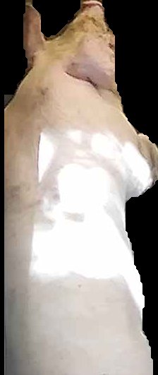Crop