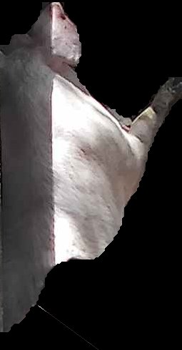 Crop