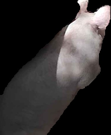 Crop